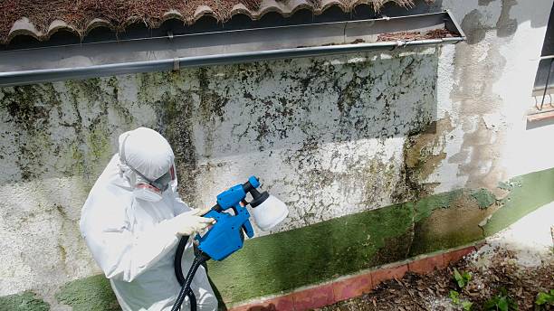 Trusted Commercial Mold Remediation service in Spring Hill, TN - Cheap Mold Removal